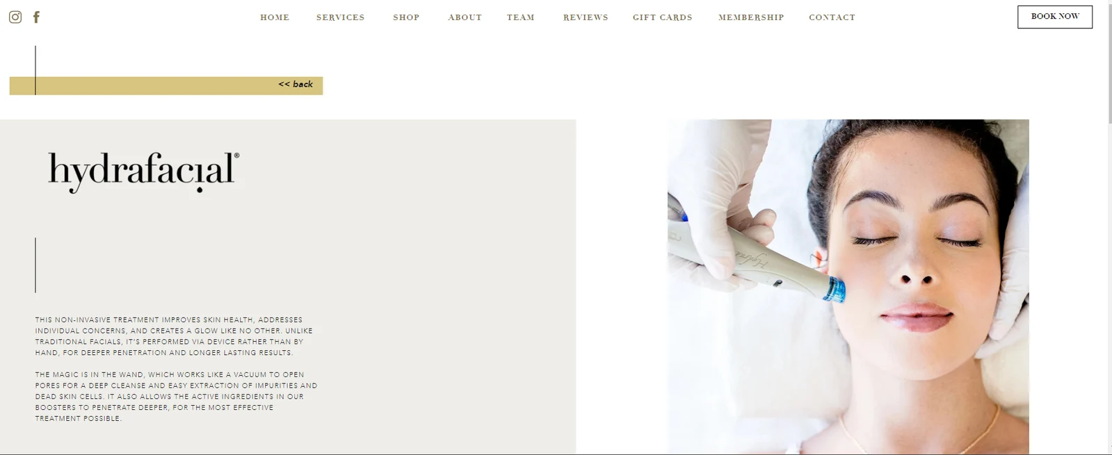 Website design example — Nurture Spa